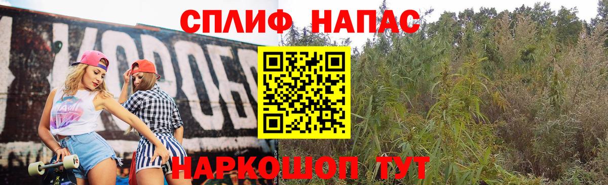 Марихуана планчик Алейск